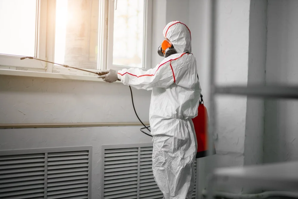 Professional mold remediation services in Hawthorne, NY